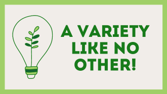 Outline of a lightbulb with a leafy plant in the center. Words in green block text next to the icon reads: A Variety Like No Other!