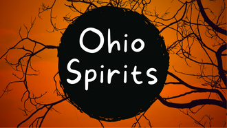 Black tree branches in front of a bright orange sky. A black circle in the middle has the text Ohio Spirits in white. 
