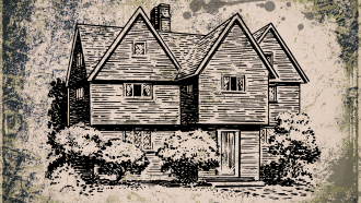 An architectural drawing of a two story house in black ink over a tan background.